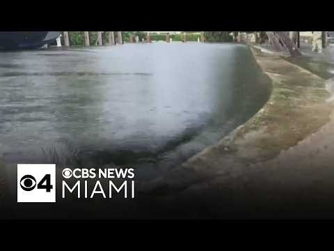 King tides continue to worsen in Miami Beach, Fort Lauderdale neighborhoods