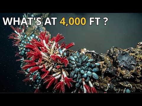 Found a Toxic Lake 4,000ft UNDER the Ocean | Project Abyss