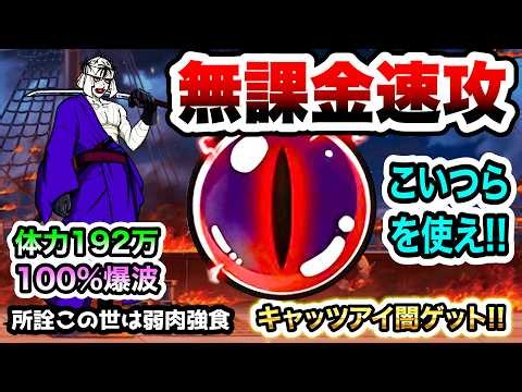 所詮この世は弱肉強食　無課金編成で速攻！　幕末の亡霊・志々雄真実　にゃんこ大戦争