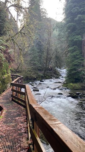 Exploring Sweet Creek Falls in Mapleton, Oregon
