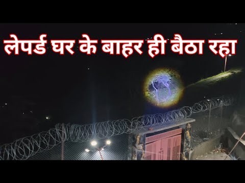 Night Stay Jim Corbett National Park | Tiger | Maneater | Animals | Story | Audiobook | Documentary