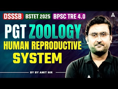 DSSSB TGT/PGT 2025 Biology Classes | DSSSB TGT/PGT | DSSSB Biology Human Reproductive System