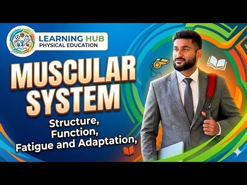 IMPORTANT!!!! MUSCULAR SYSTEM. Structure, Functions, Fatigue and Adaption.