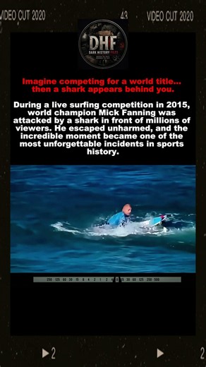 The Shark Attack Caught Live on TV