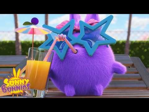 Sunny Bunnies | Iris and Shiny Want to Relax in The Sun | Kids Cartoons