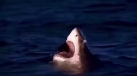 Draymond vs Dillon Brooks with a playoff spot on the line and Scott Foster reffing