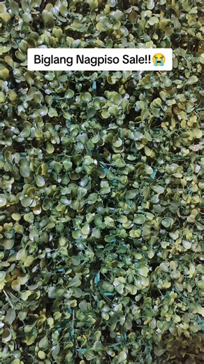 dochub❤️ (@janine0.12)’s videos with original sound - PALANGGA