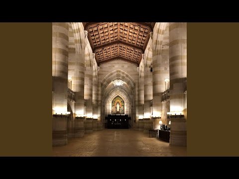 Tomorrow It's Your Birthday