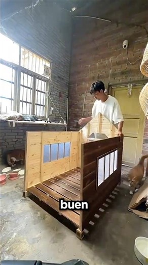 Esta Niña Hace Todo Por Sus Gatos 😢❤️