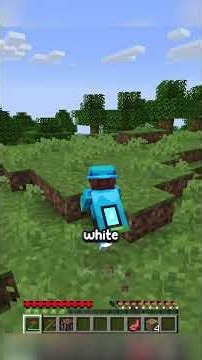 Minecraft, But If I Touch White My Game Becomes More Realistic… #shorts