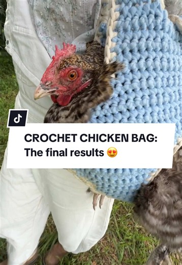 Crochet Chicken Purse Pattern — Cute Beginner Chicken Bag