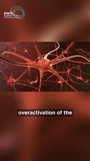 How Amygdala Overactivation Occurs