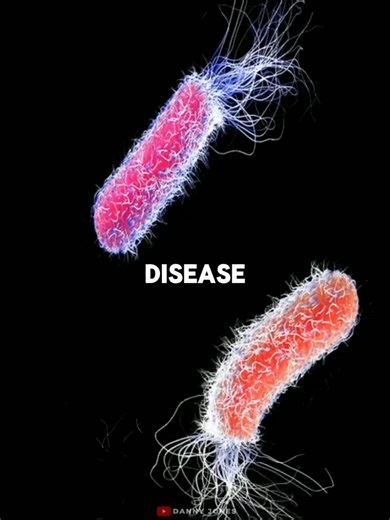 Siberia Plague Outbreak 2026: A Lab Accident or a Mystery?