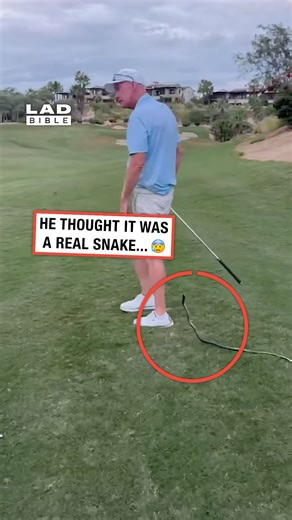 He thought it was a real snake 😂 #snakes #reptiles | LADbible