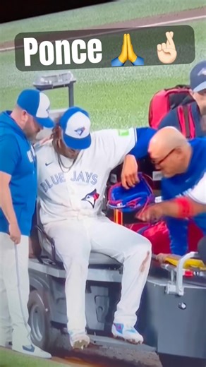 The Jays Nest- Disaster strikes Blue Jays #bluejays #torontobluejays #mlb #kazumaokamoto