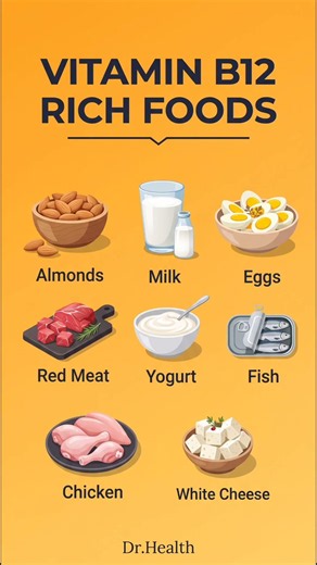 Top Foods Rich in Vitamin B12 | Boost Your Energy Naturally #nutritionalrebalancing #nutrientdense