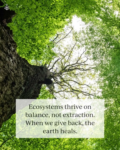 ethinking Our Relationship With Nature