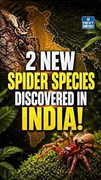 2 New Spider Species Found in India | Hidden Creatures in Desert & Cities! | NEXT IAS