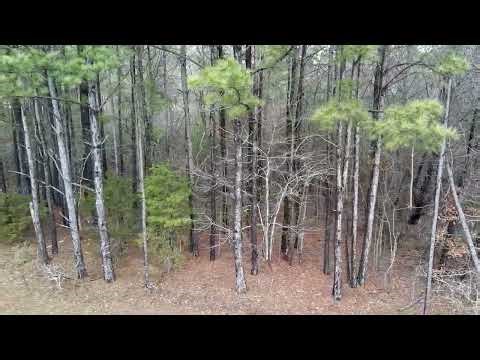 More footage of clearing today in Stephens County, Georgia