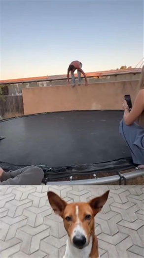 top 10 funny clips 😂 try not to laugh #shorts #funny #funnyclips #prank #fun #viral #trending