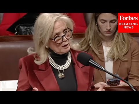 'The Public Has A Right To Input': Debbie Dingell Slams Efforts To Streamline Environmental Reviews