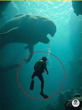 🙄 The strangest things found by scuba divers #viral