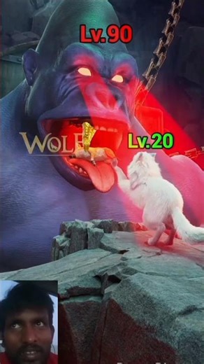 🦍😭गोरिल्ला का भोजन बना कुत्ता 🐕#wolfgame​ #wolf​ #games​ #wolfpack​ #alpha​ #animals​ #wolves​