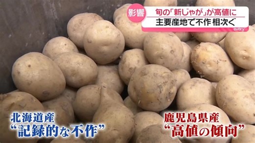旬の春野菜で明暗「新じゃが」高値傾向が続く　「春キャベツ」は豊作で“お得”に（日テレNEWS NNN）