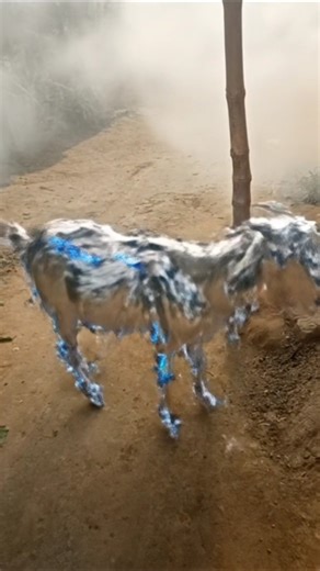 cosplayer cosplay, costume design, anime, video games, comic conventions, charity events, cosplay tu