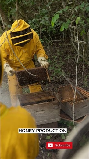 𝗛𝗔𝗥𝗩𝗘𝗦𝗧𝗜𝗡𝗚 𝗛𝗢𝗡𝗘𝗬 #youtubeshorts #shortvideo #short #viralvideo #motivation #farming #garden