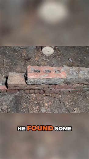 Bushcraft Fire Survival🔥Ultimate Microclimate Shelter Setup