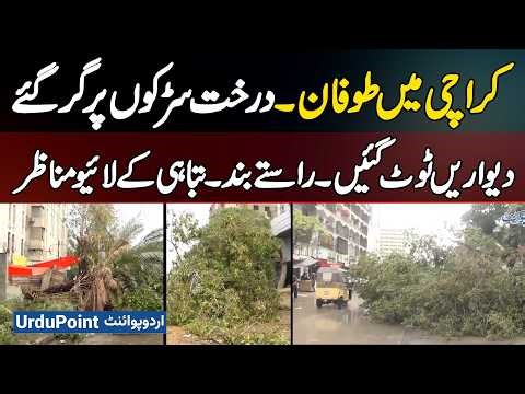 Heavy Rain in Karachi: Trees Fell on Road, Walls Collapsed, Road Blocked, Karachi Storm Wreaks Havoc