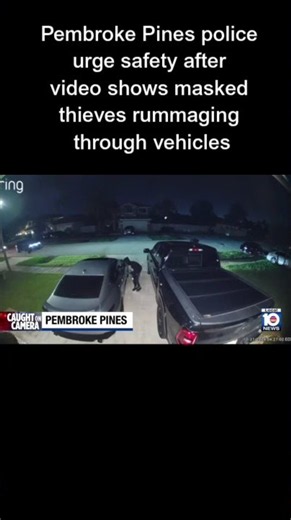 Pembroke Pines police urge safety after video shows masked thieves rummaging through vehicles