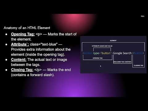 🚀 Web Development Crash Course: HTML & CSS for Beginners