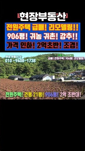 급매 시골 전원주택 리모델링 완료 906평 #급매 #전원주택 #시골 #리모델링 #세컨하우스 #석교리