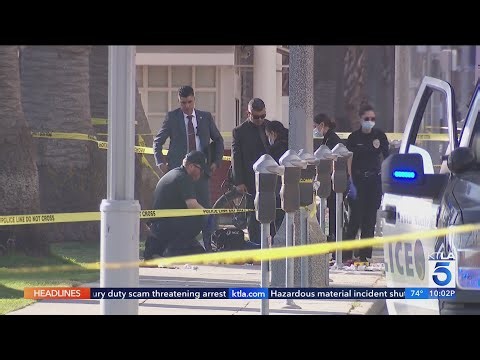 Knife-wielding man shot dead by Santa Monica police