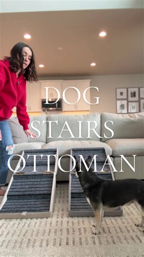 Dog stairs that you can disguise has to be the most brilliant invention yet!! Our elderly pets deserve some extra love! #dogstairs #weeklydeals #springbreak #tiktokshopspringglowup