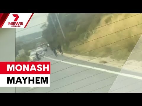 Machete madness on Monash Freeway | 7NEWS