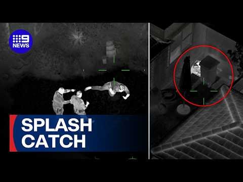 Quick-thinking neighbour stops Melbourne teen fleeing from stolen car crash | 9 News Australia