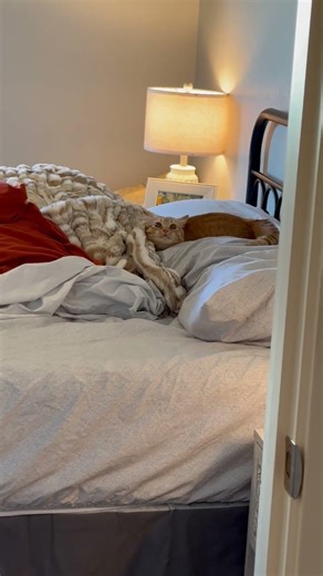 The brain cell is overloaded