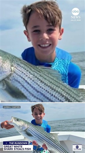 Shark snacks on fish caught by kid off Cape Cod
