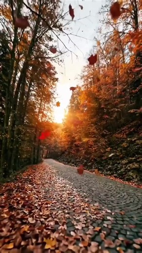 Autumn evening vibes: cozy fall scenes and peaceful moments