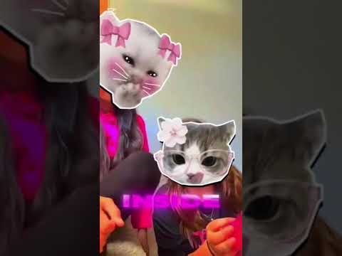 Squishy and fidget hall!!!