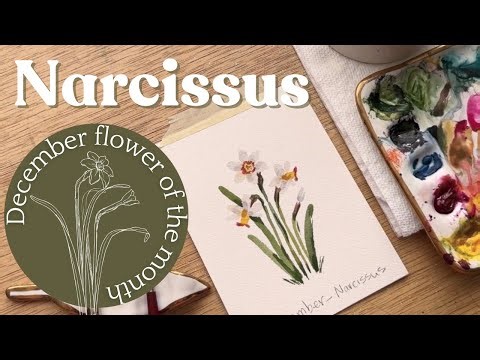 Watercolor Narcissus - December birth month flower