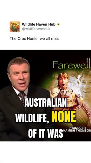 The Croc Hunter we all miss