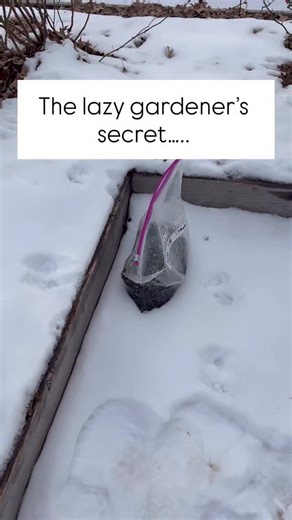 It is the ultimate low-effort, high-reward gardening hack. Follow along to see exactly which flowers I’m planting this way! And if you want to stock up, comment SEEDS for a link to my favorite winter sown cottage garden flower, herb, and veggie seeds. | Figment Cottage Gardens