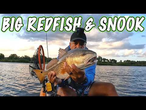BIG Fish Are Fired Up in NEW Spot (Tampa Bay Kayak Fishing)