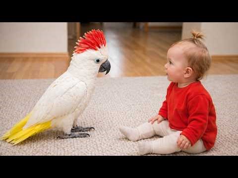 baby looked bewildered when the PARROT started chirping 🦜😆 So adorable | The Funniest PARROT Videos