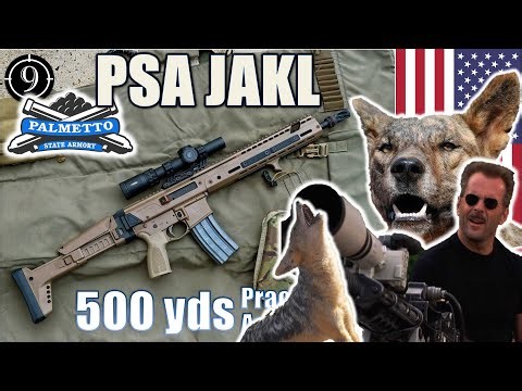 PSA JAKL 🐺 [FN SCAR at home] Shot to 600yds: Practical Accuracy