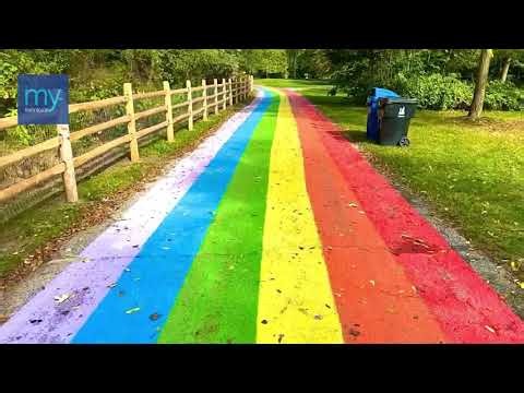 World’s Longest Rainbow Road. Explore Toronto Like a Local. 